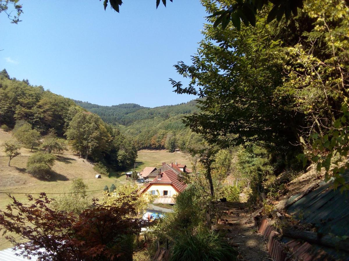 Abri De Jardin Amenage, Chambre Camping Glamour Hotel Lalaye Exterior foto